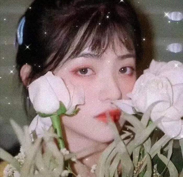 苍兰诀